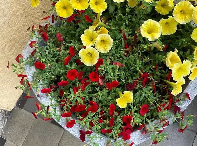 Rosengarten Lägenhet Blankenburg (Harz)